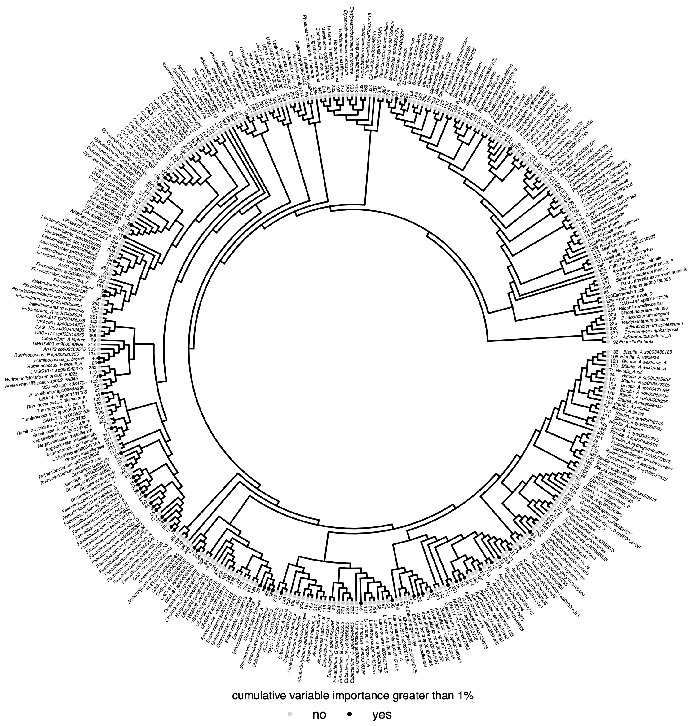 Figure S1: Phylogenetic tree of 360 bacterial species that were predictive of IBD subtype in all models. Tree was built from the GTDB rs202 tree with all tips except those represented by the 360 genomes removed. Tree tips are labelled by genomes that anchored at least 1% of the normalized variable importance. The inner ring annotates the rank of the genomes, with the genome holding the most normalized variable importance across models ranked as 1. The outer ring is the species name within the GTDB database.