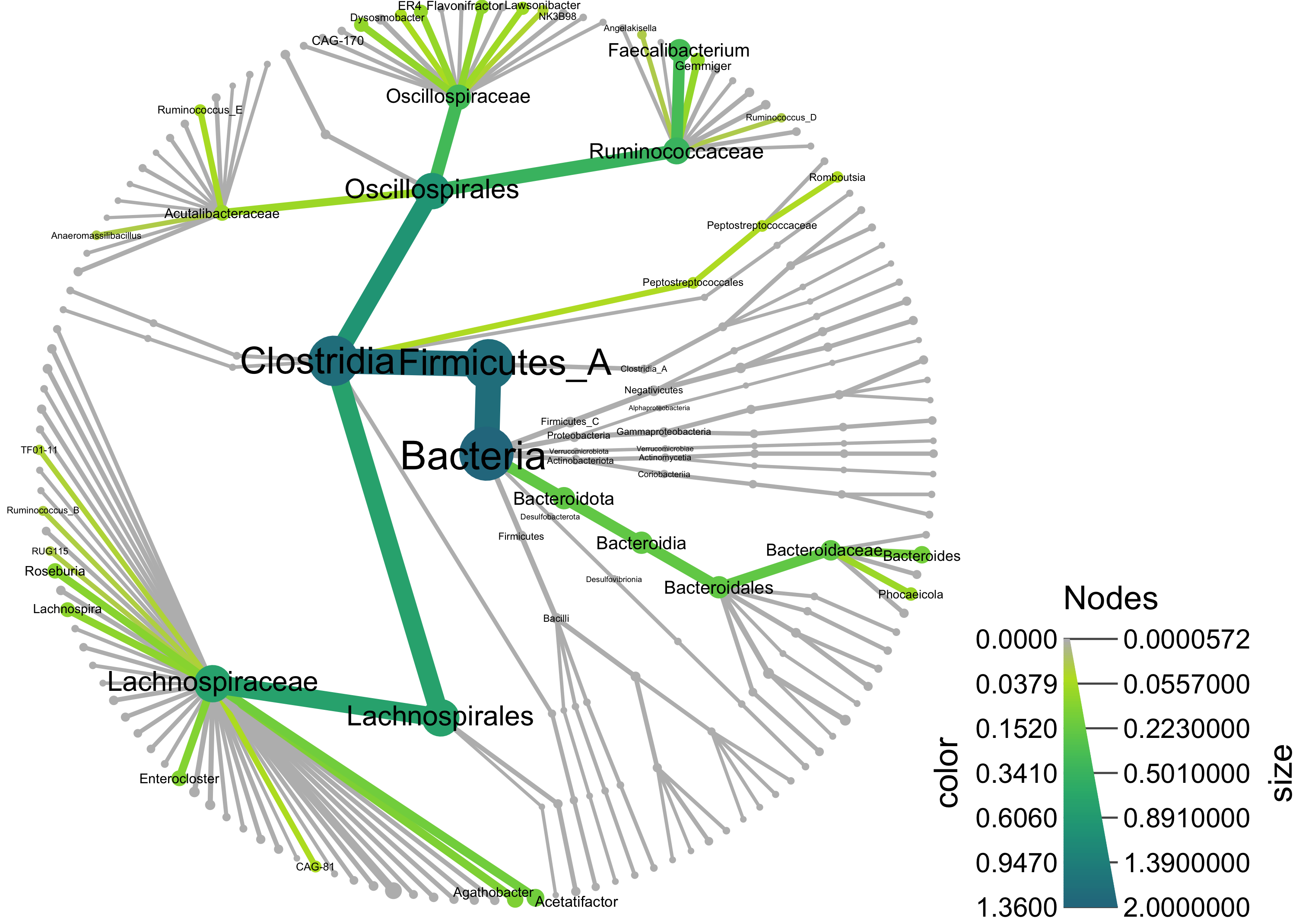 Figure 3: Tree of bacterial species that were predictive of IBD subtype in all models. Nodes are summarized to the genus level. All taxa up to the class level are labelled. Taxa that could account for at least 1% of the normalized variable importance across random forests models are colored and labelled. Node size and node color reflect potential normalized variable importance attributable to each taxonomic lineage with larger node sizes and darker color representing larger variable importance; while normalized variable importance across models sums to one, some sequences are shared across genomes making the total potential variable importance across all genomes larger than one.
