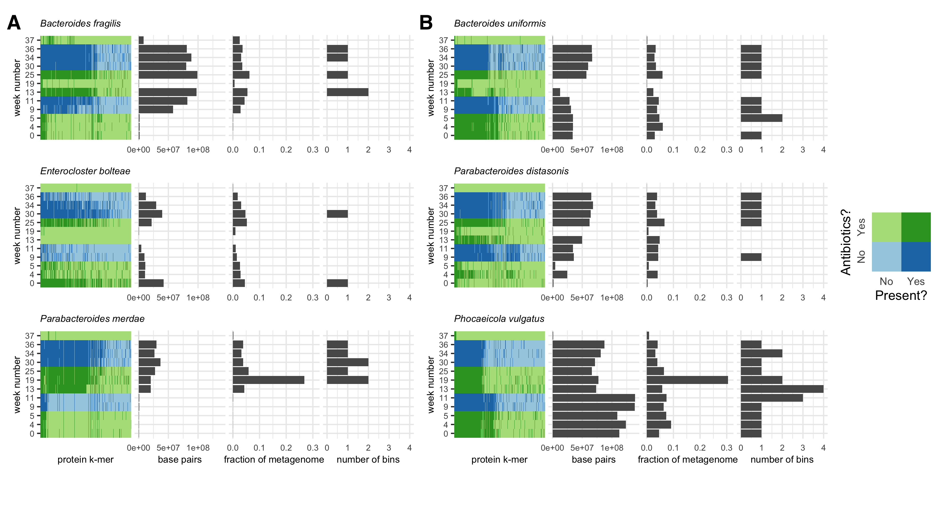 Figure S4: kaa-mer metapangenomes for six species. Each species contains a four-panel figure. The first panel is a binmap plot. Dark colors represent k-mers that are present in each sample. Blue shades represent time points when the sampled individual was not on antibiotics, while green shades represent time points when the individual was on antibiotics. The second panel represents an estimated number of base pairs in the metagenome detected to originate from that species. The third panel represents an estimated fraction of the metagenome assigned to that species. The fourth panel represents the number of bins produced for that species from that sample using a de novo metagenome assembly and binning approach. The two values represented in the second and third panels and the species assignations used to infer the value represented in the fourth panel were inferred using the sourmash gather algorithm against the GTDB rs202 database. A) Species for which presence-absence fluctuated over the time series. B) Species for which strain presence-absence fluctuated over the time series.