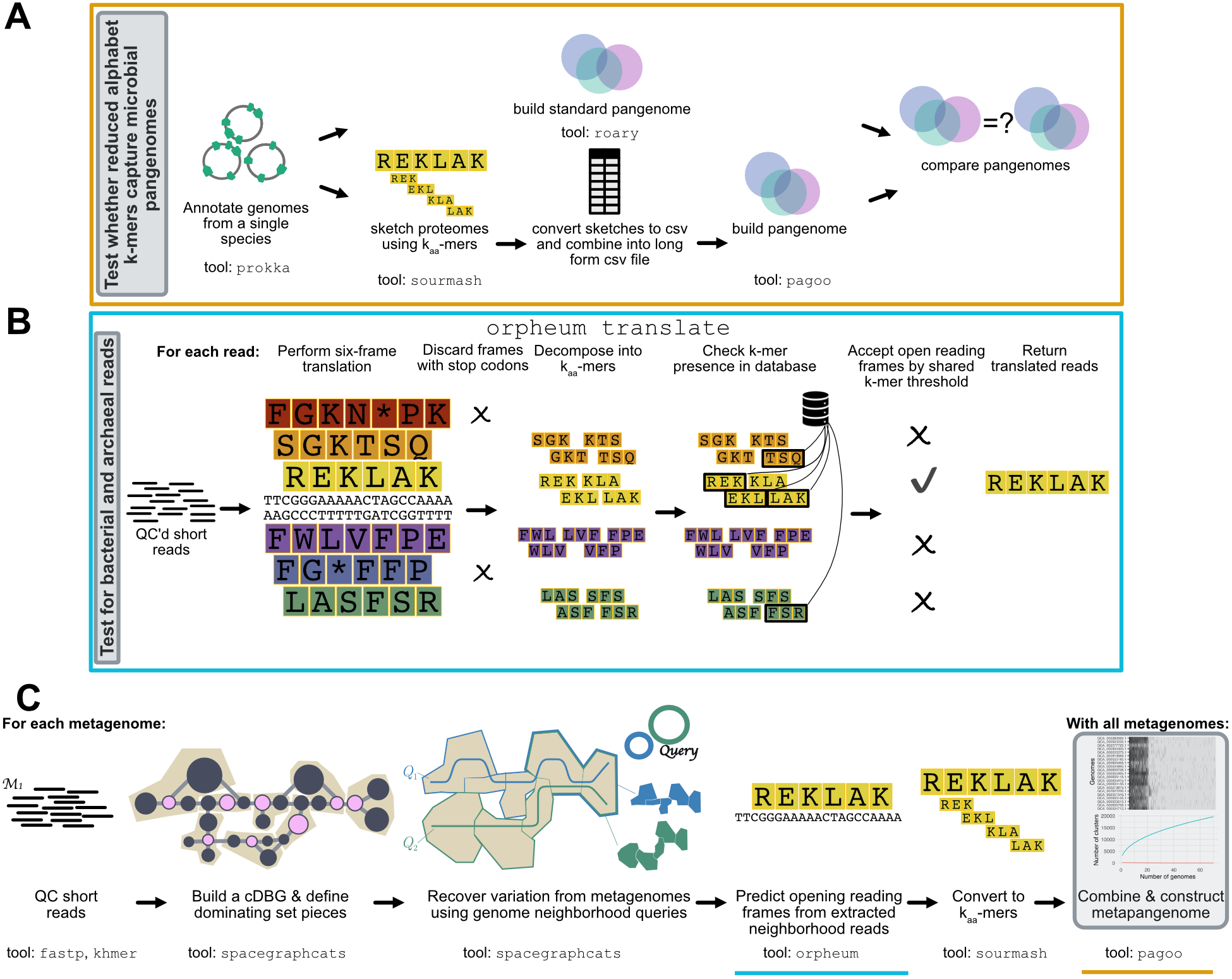 Figure 1: Overview of the pipeline used to build metapangenomes. Approaches that were developed or tested in this manuscript are outlined in grey. A) We tested whether amino acid k-mers could accurately represent bacterial and archaeal pangenomes. Using genomes annotated with prokka, we compared pangenomes built with roary, a field-standard pipeline, against pangenomes built with kaa-mer sketches. B) We tested whether open reading frames could be predicted directly from short sequencing reads using the tool orpheum. This panel is modified from [25]. C) We combined this approaches with metagenome assembly graph genome queries to estimate metapangenomes directly from metagenomes without assembly or binning. The blue and orange lines correspond to steps tested in panels A and B. The workflow presented in steps 1-3 of panel C is published in [21].