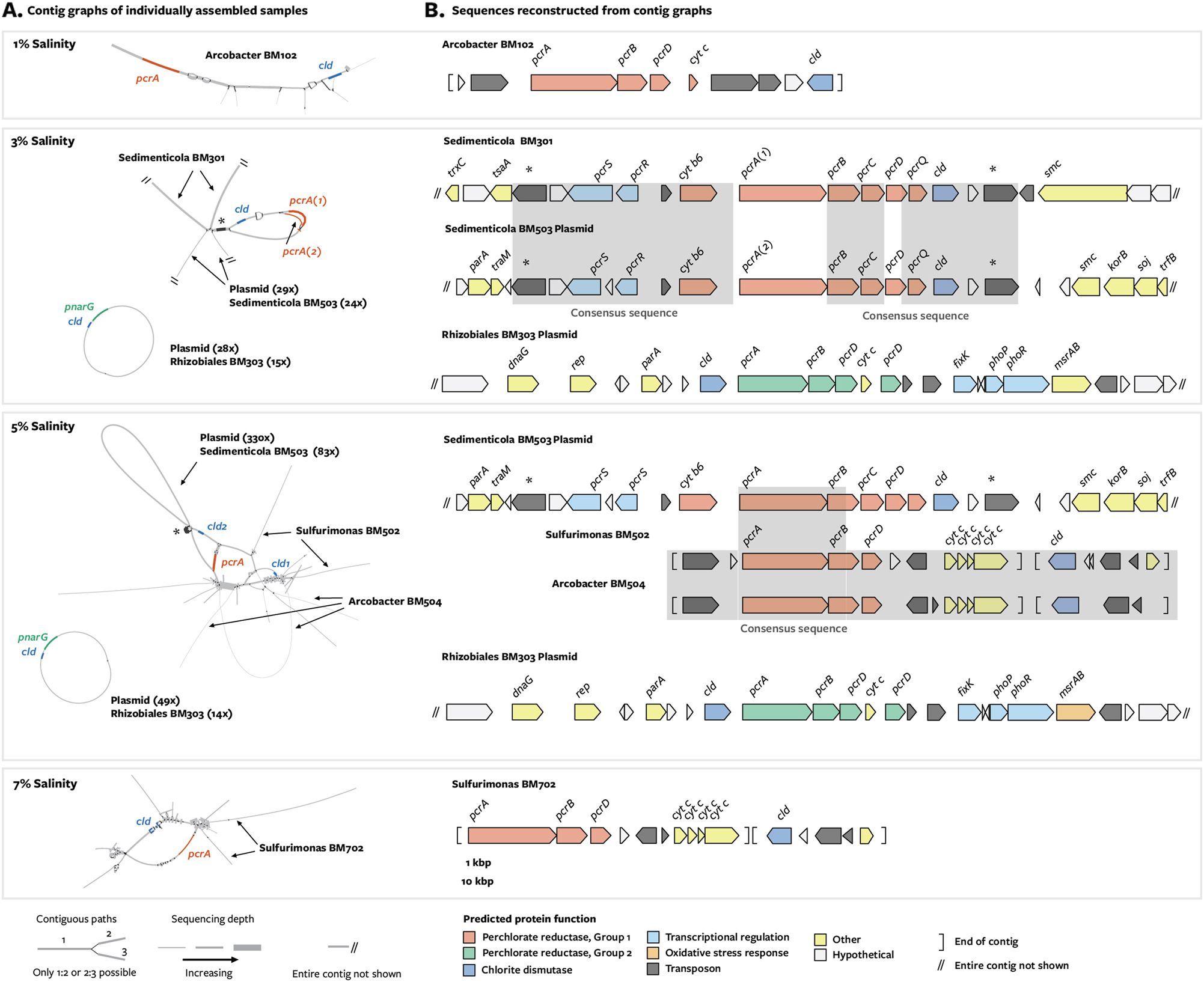 source: ISME J 12, 1568–1581 (2018) doi:10.1038/s41396-018-0081-5